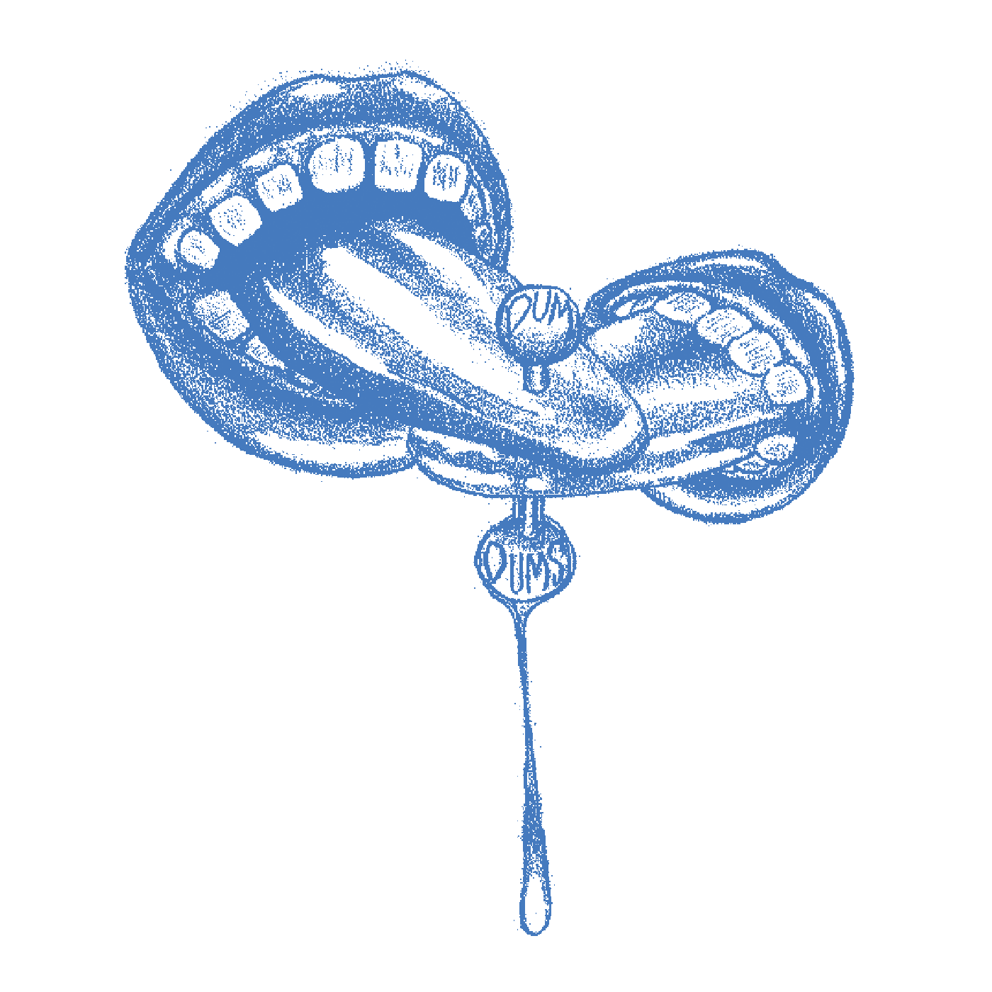 Album art for The Dum Dums self-titled release on Hole Recording Gruppe