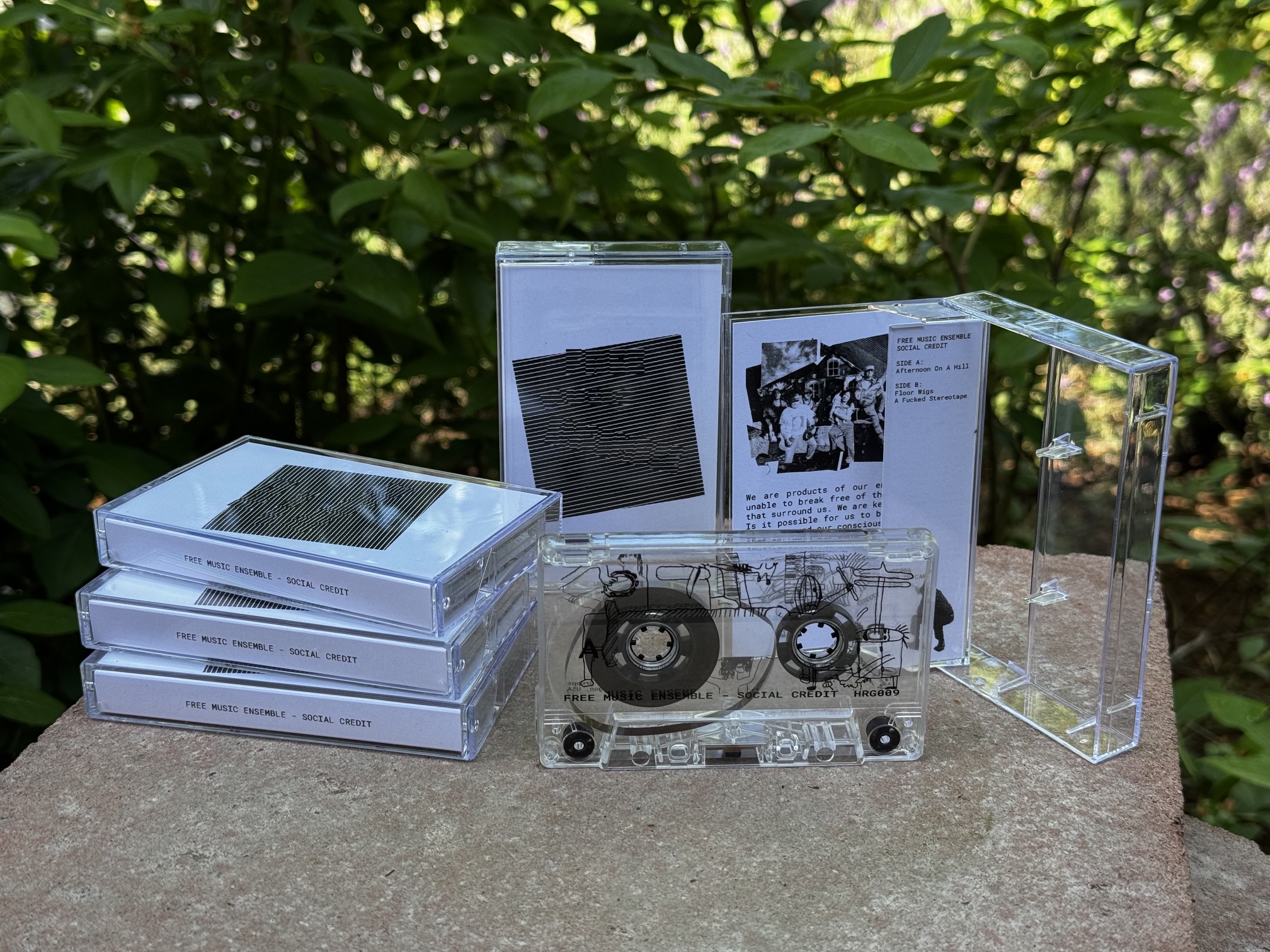 Free Music Ensemble - Social Credit album art